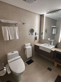 Vanity and toilet with bidet feature