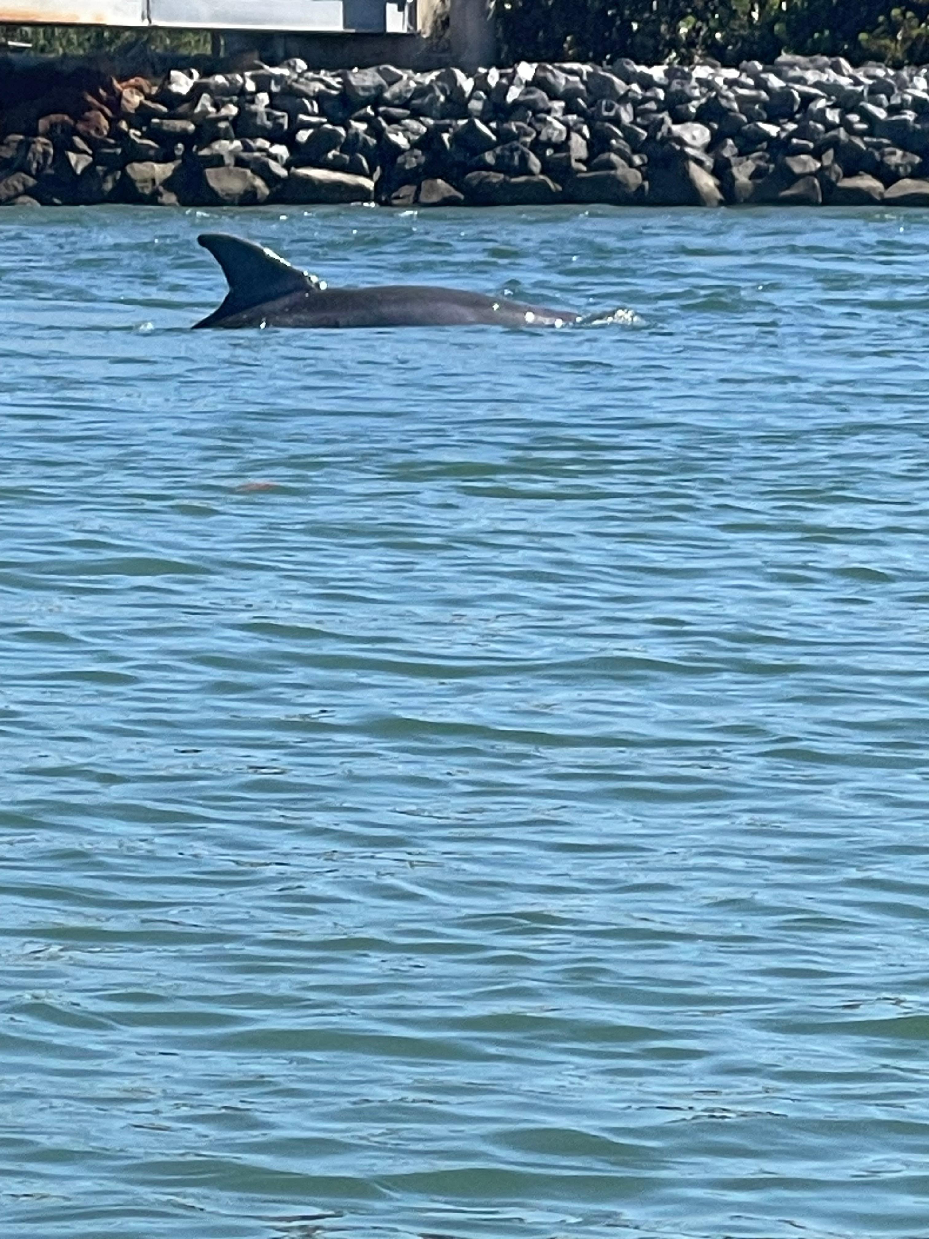 Sebastian inlet state park 