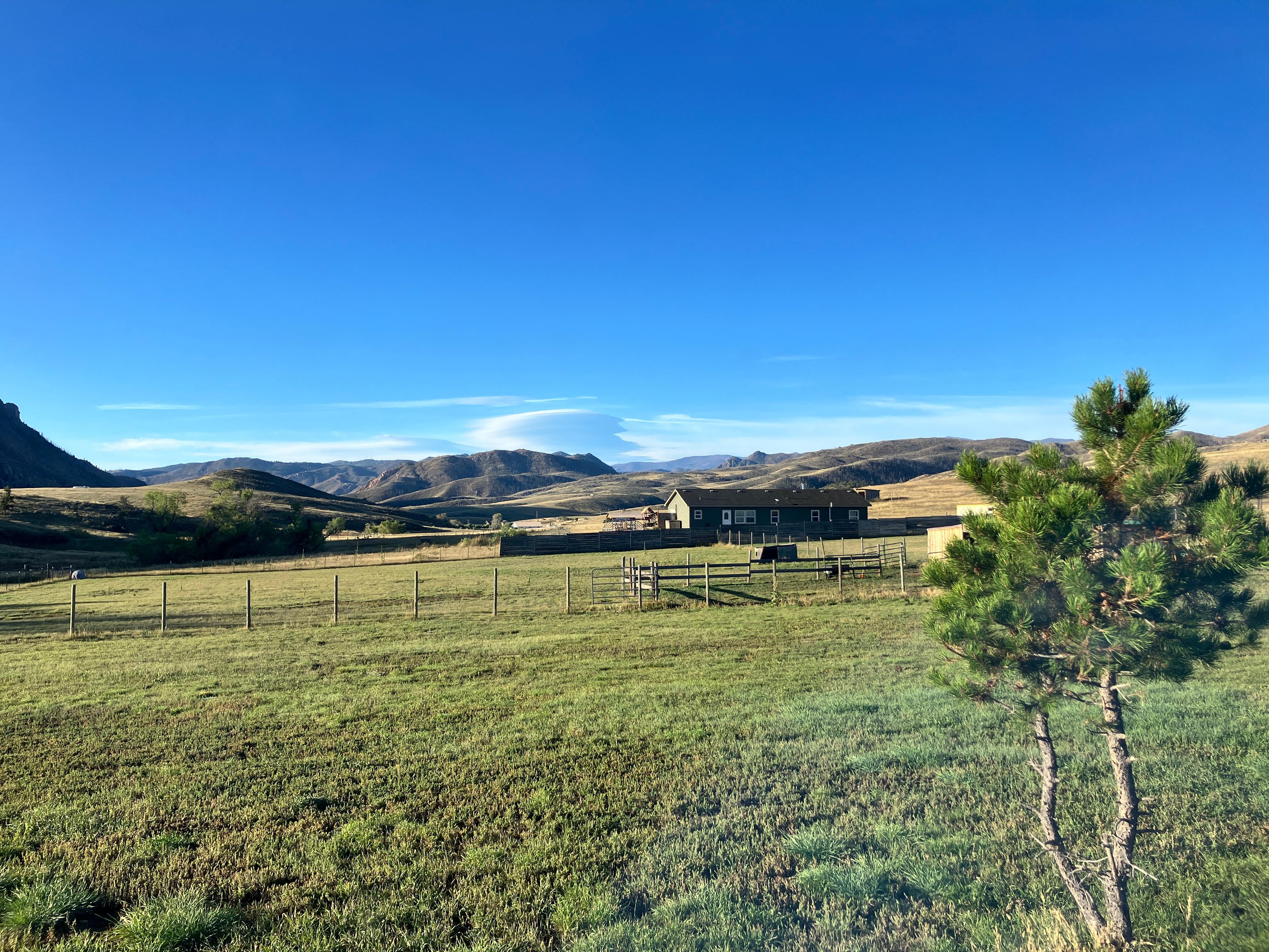 The view from the suite.