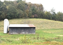 Nearby field full of pumpkins!