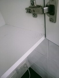 I really think this is Roach poo