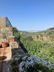 The view at breakfast