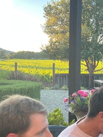 Dinner on backyard patio