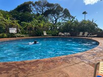 Resident community pool