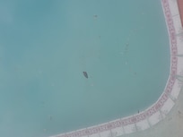 Trash in pool