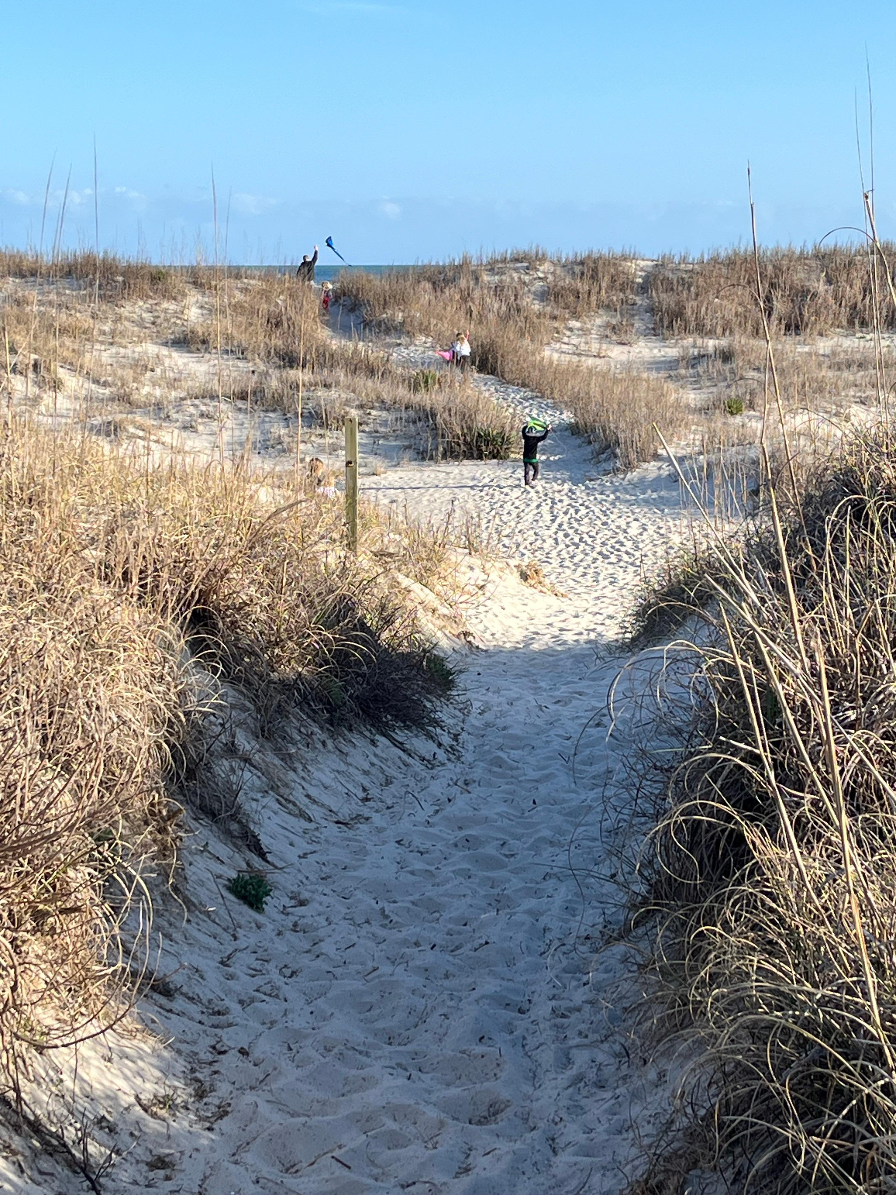 Walk to the beach from the public access where you can park the golf cart. 