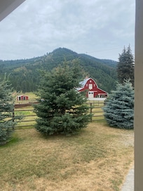 View from porch.