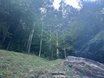 View from back porch.