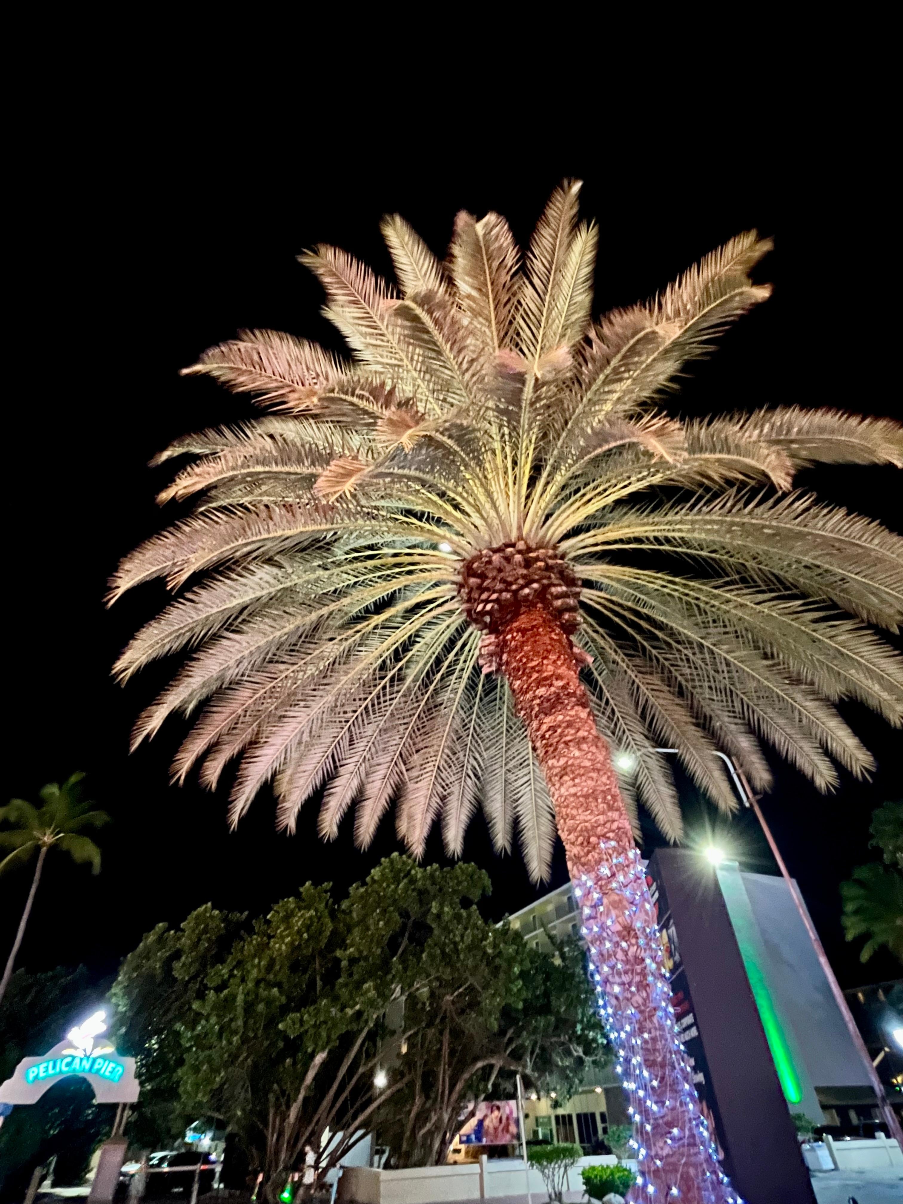 A beautiful Aruba evening