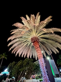 A beautiful Aruba evening