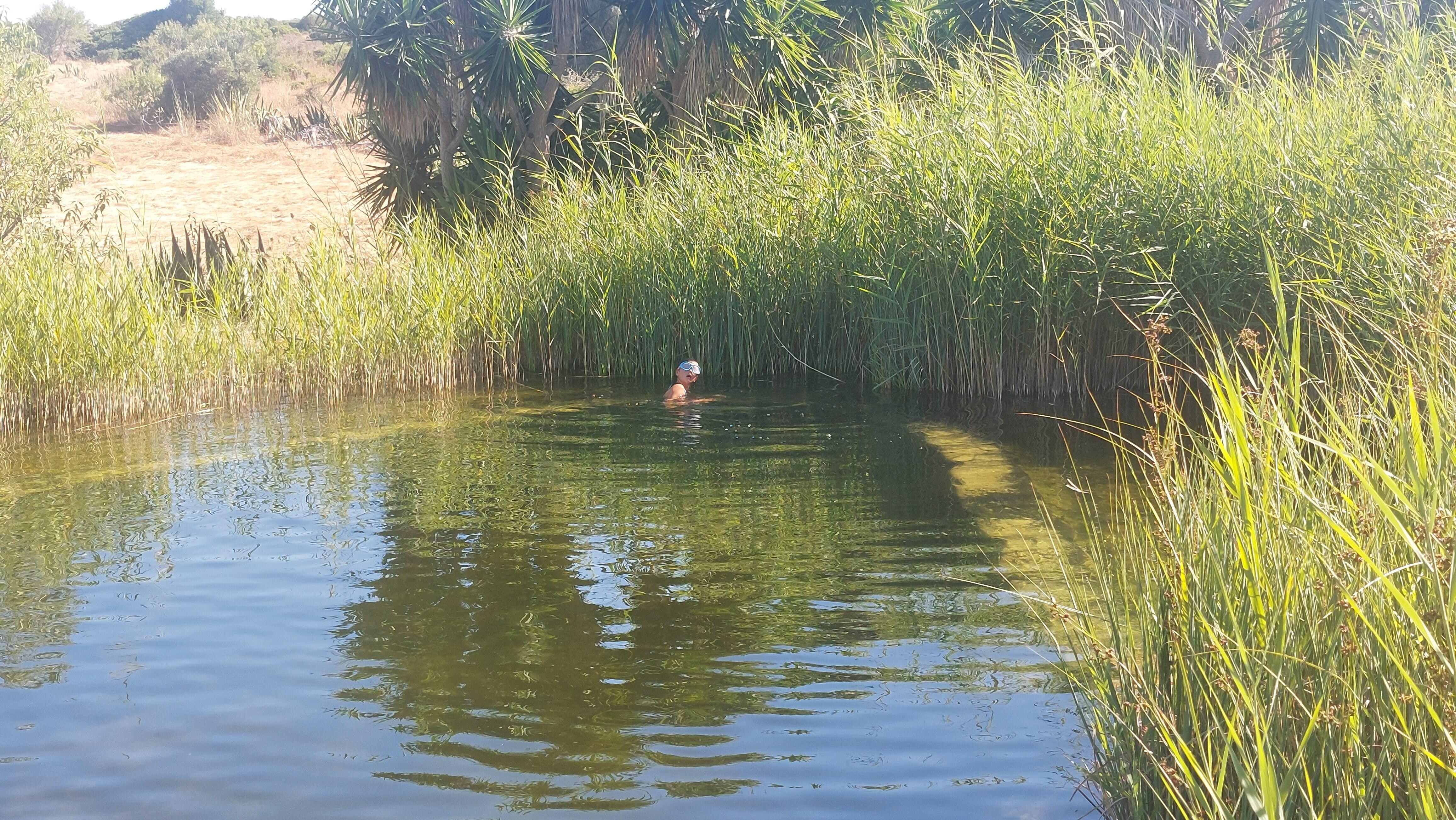 La piscine naturelle  agréable et propre, parfaite pour se délasser en fin d après-midi .