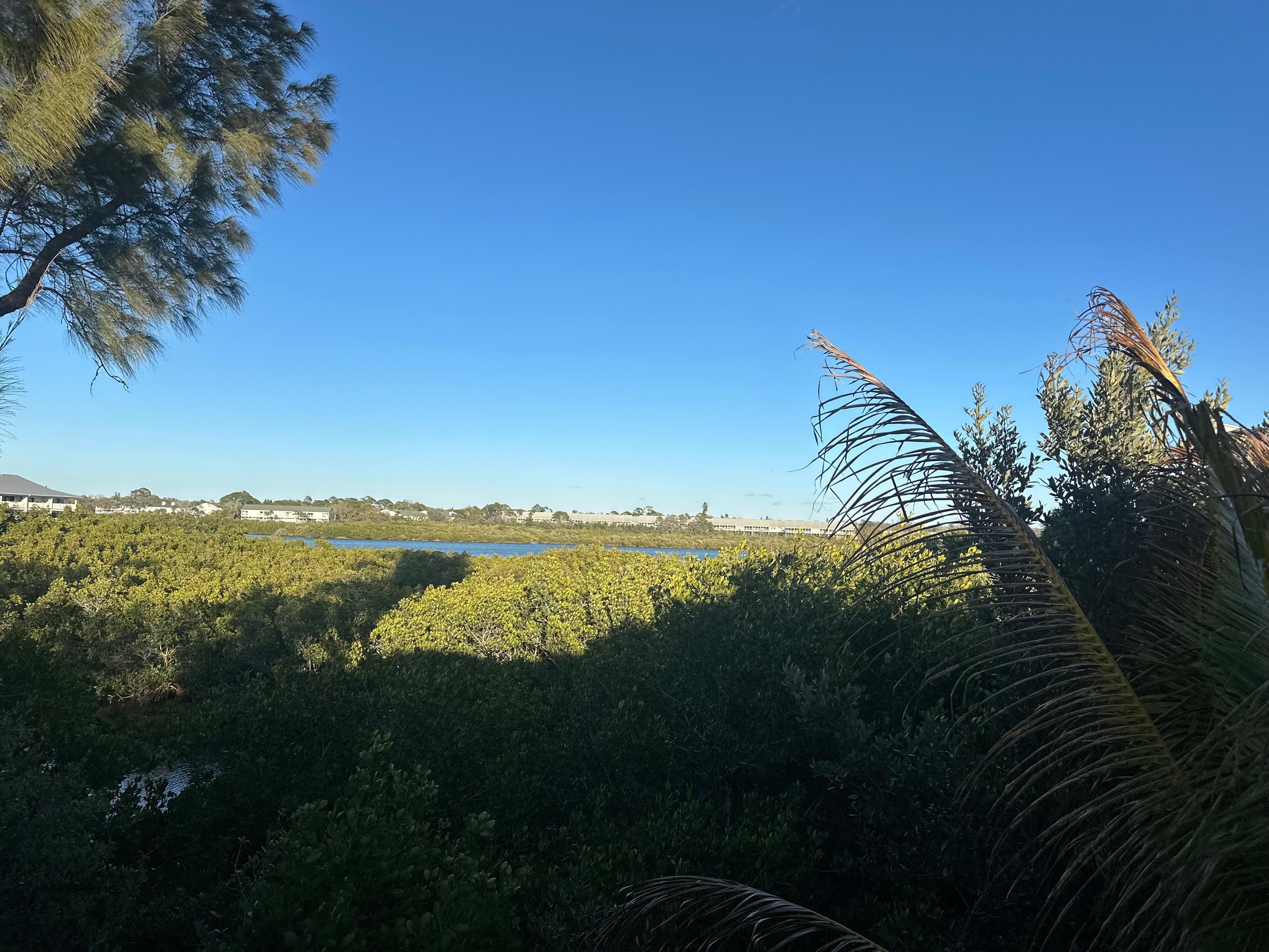View of Intercoastal and the occasional dolphin 