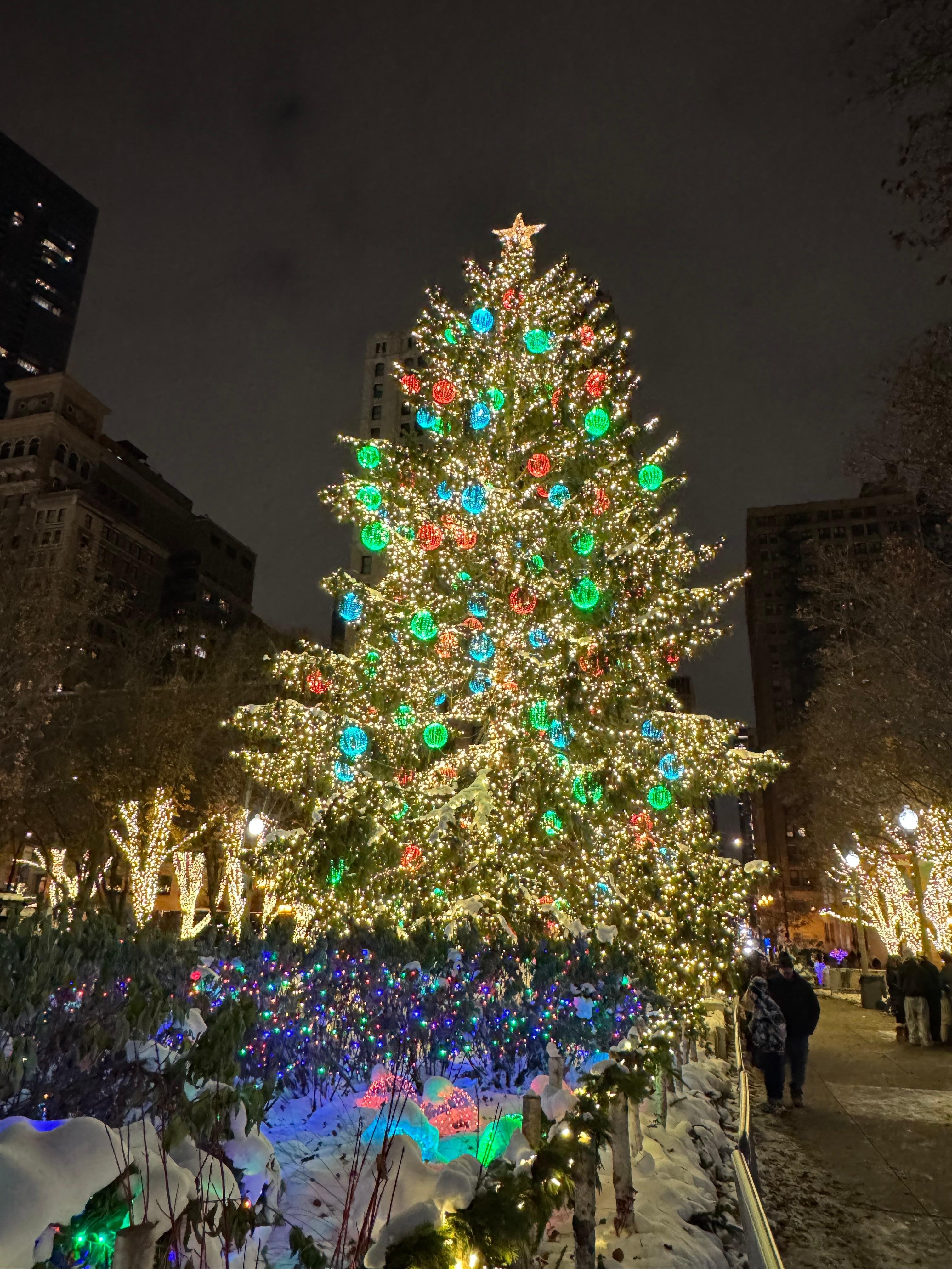 Millennium Park. Five minute walk. 