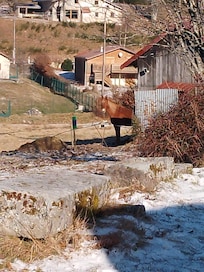 Pensionnaire de la maison.