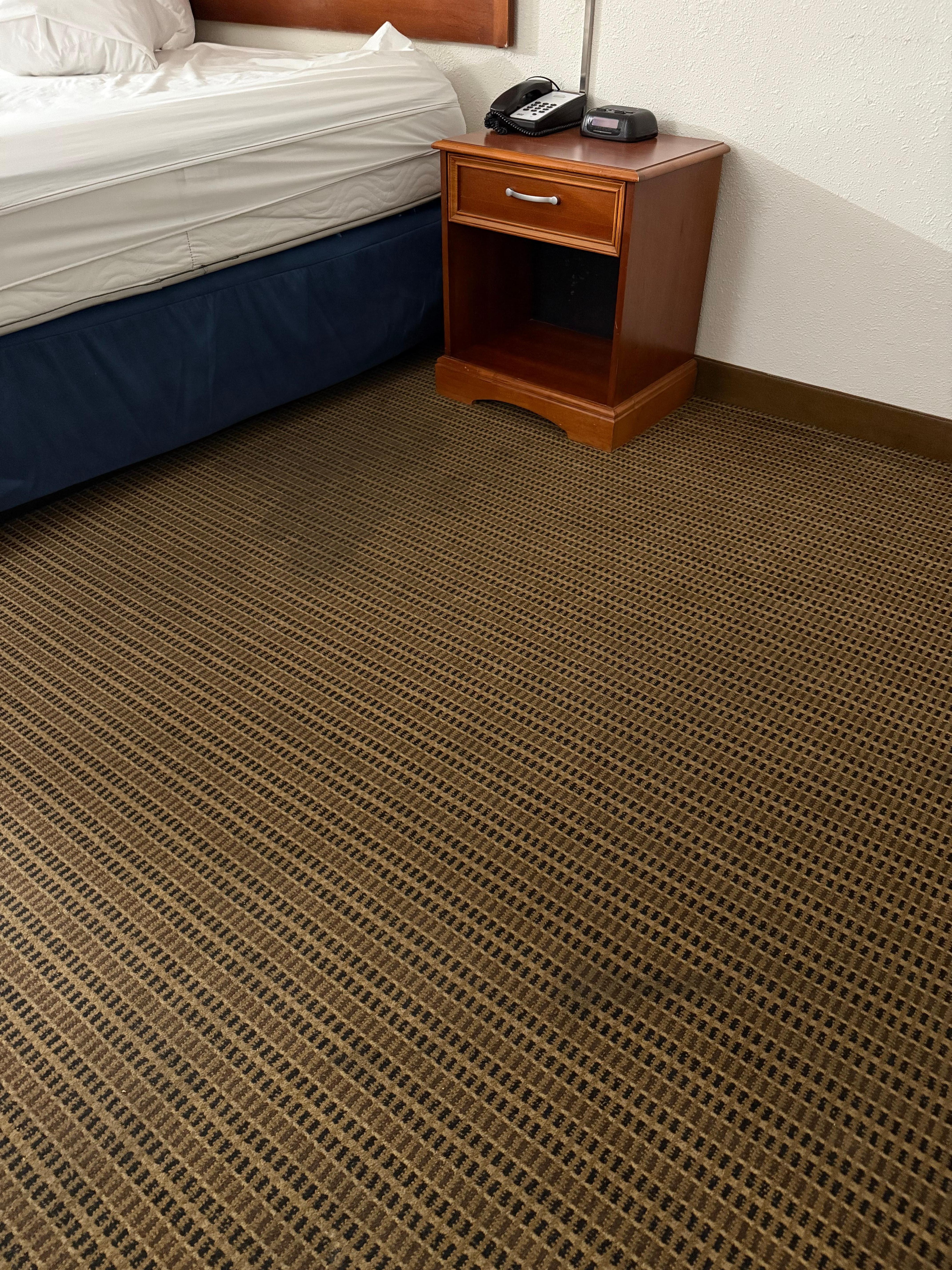 Stains in the carpet that smelled 