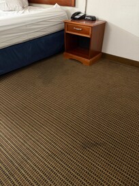 Stains in the carpet that smelled