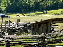 We seen elk all day temperatures was cool enough they was out