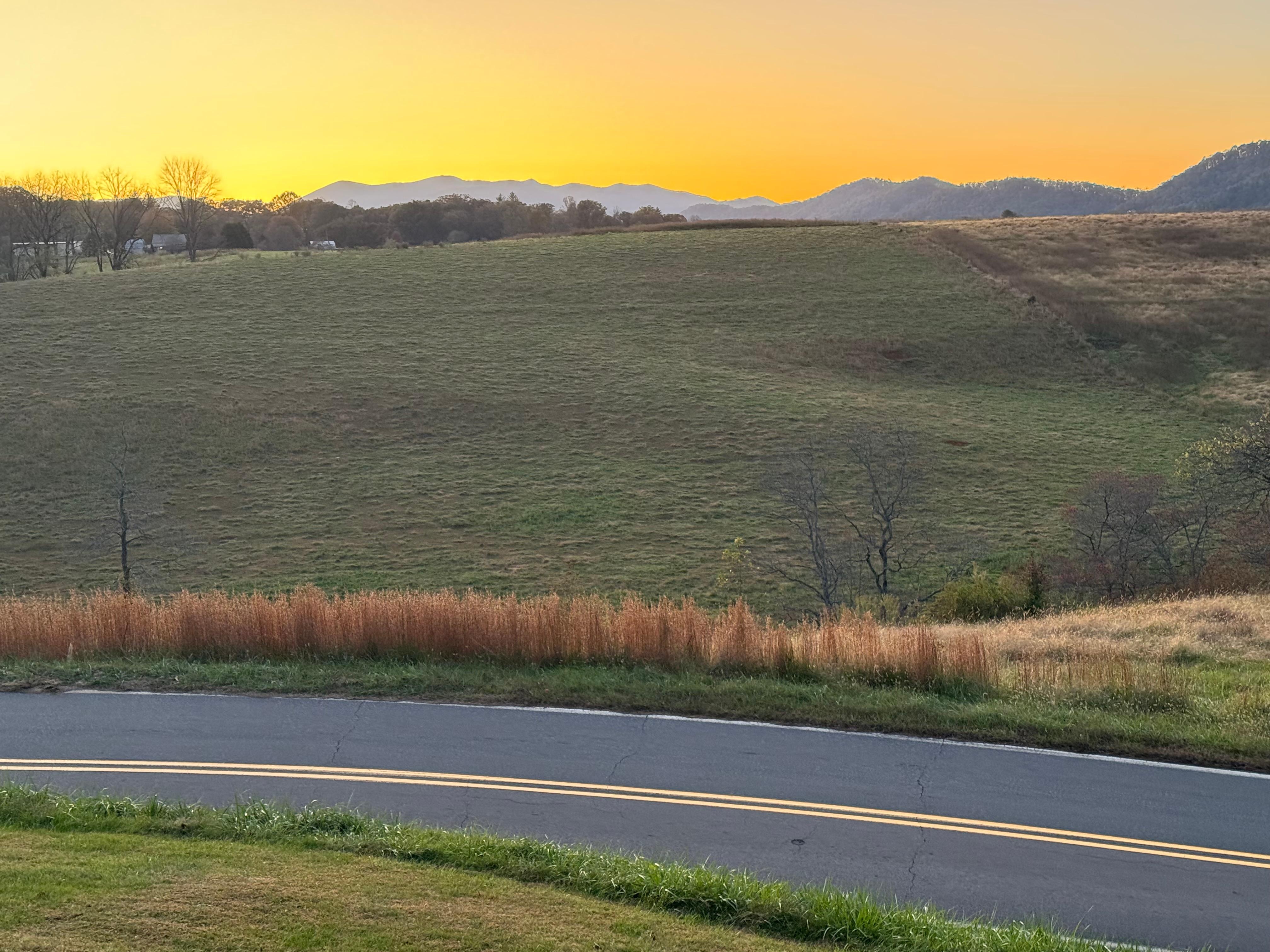 Beautiful view from the front yard.