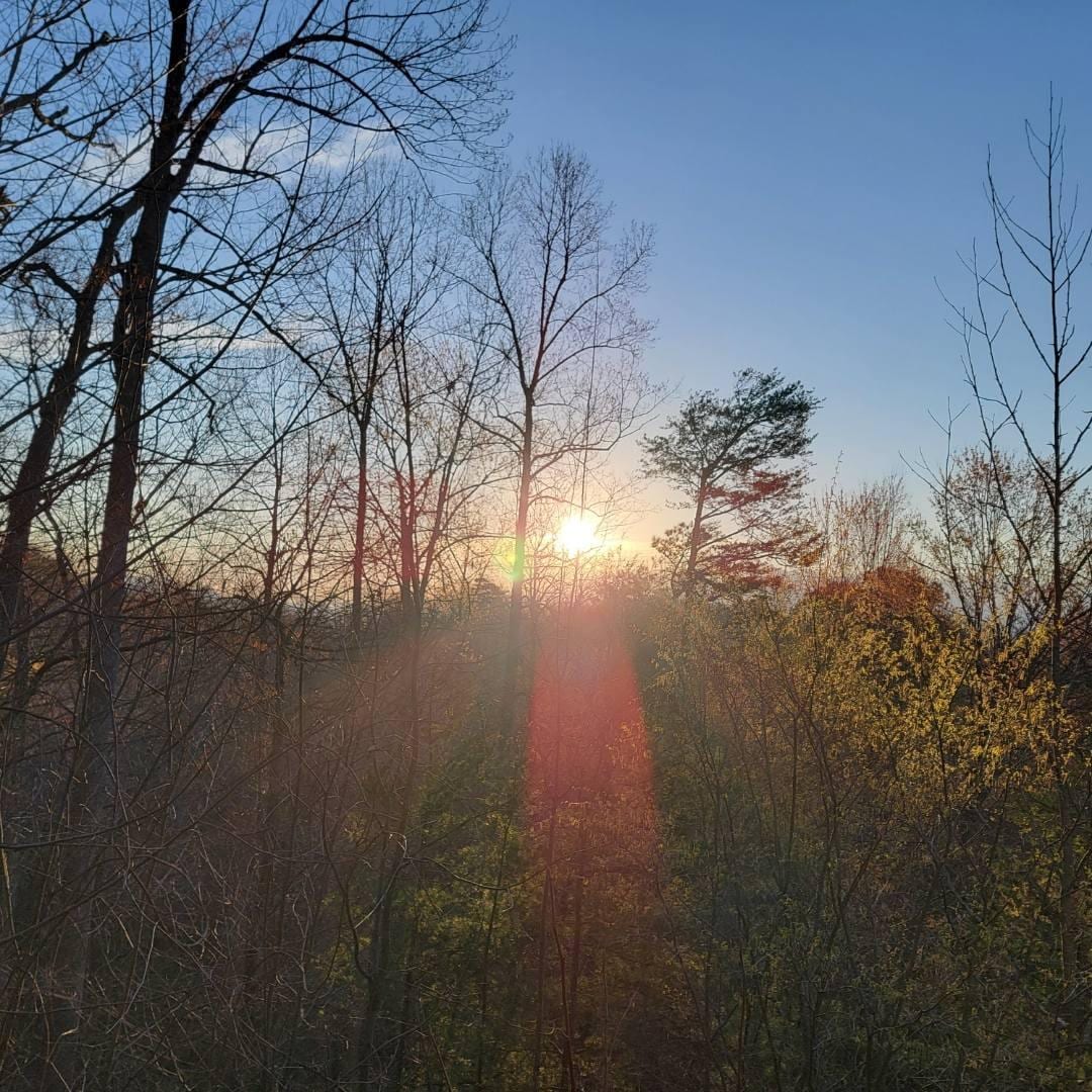 Out first morning sunrise.