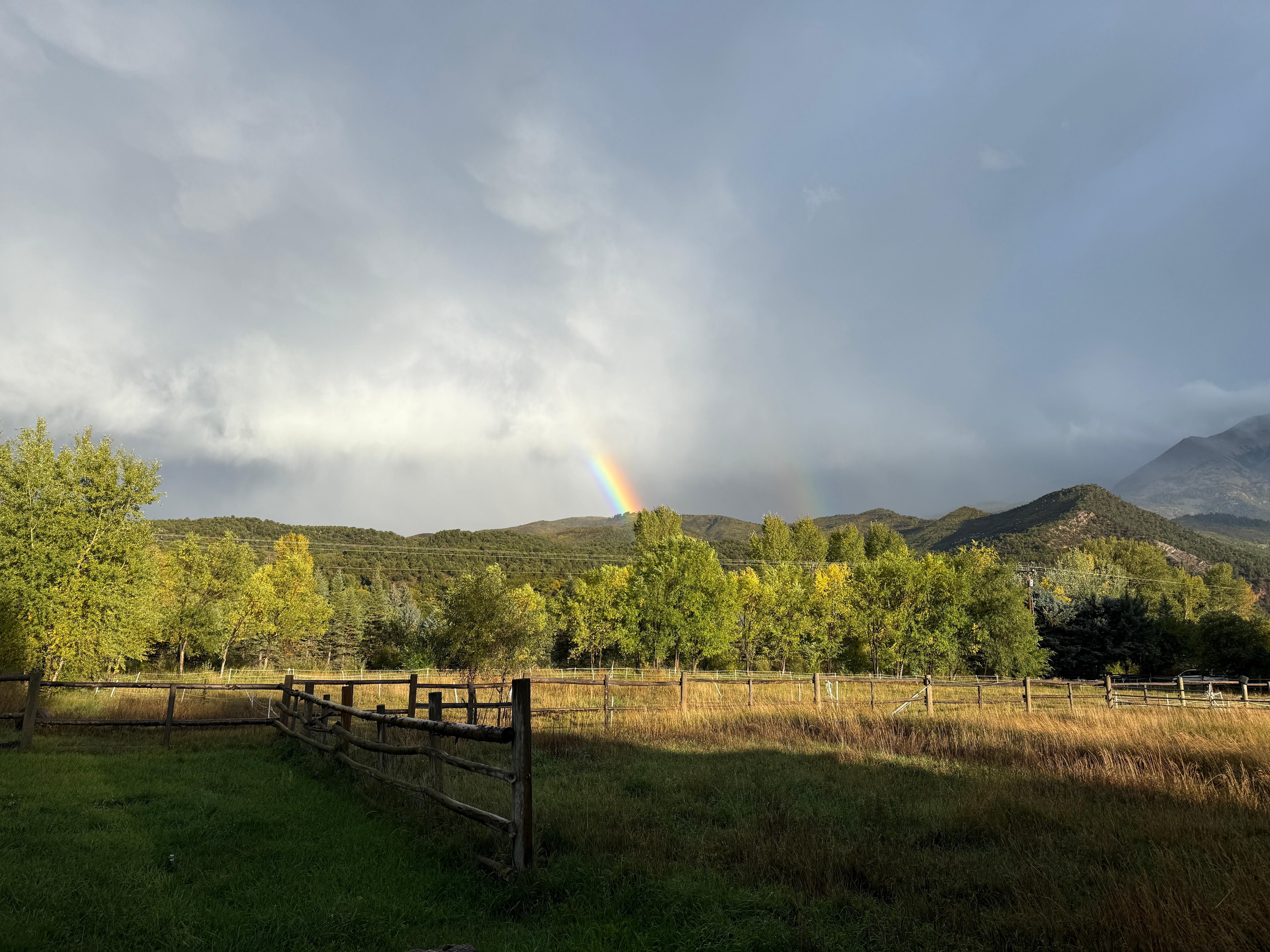 Outside after a rain