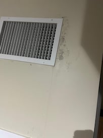 Black mold