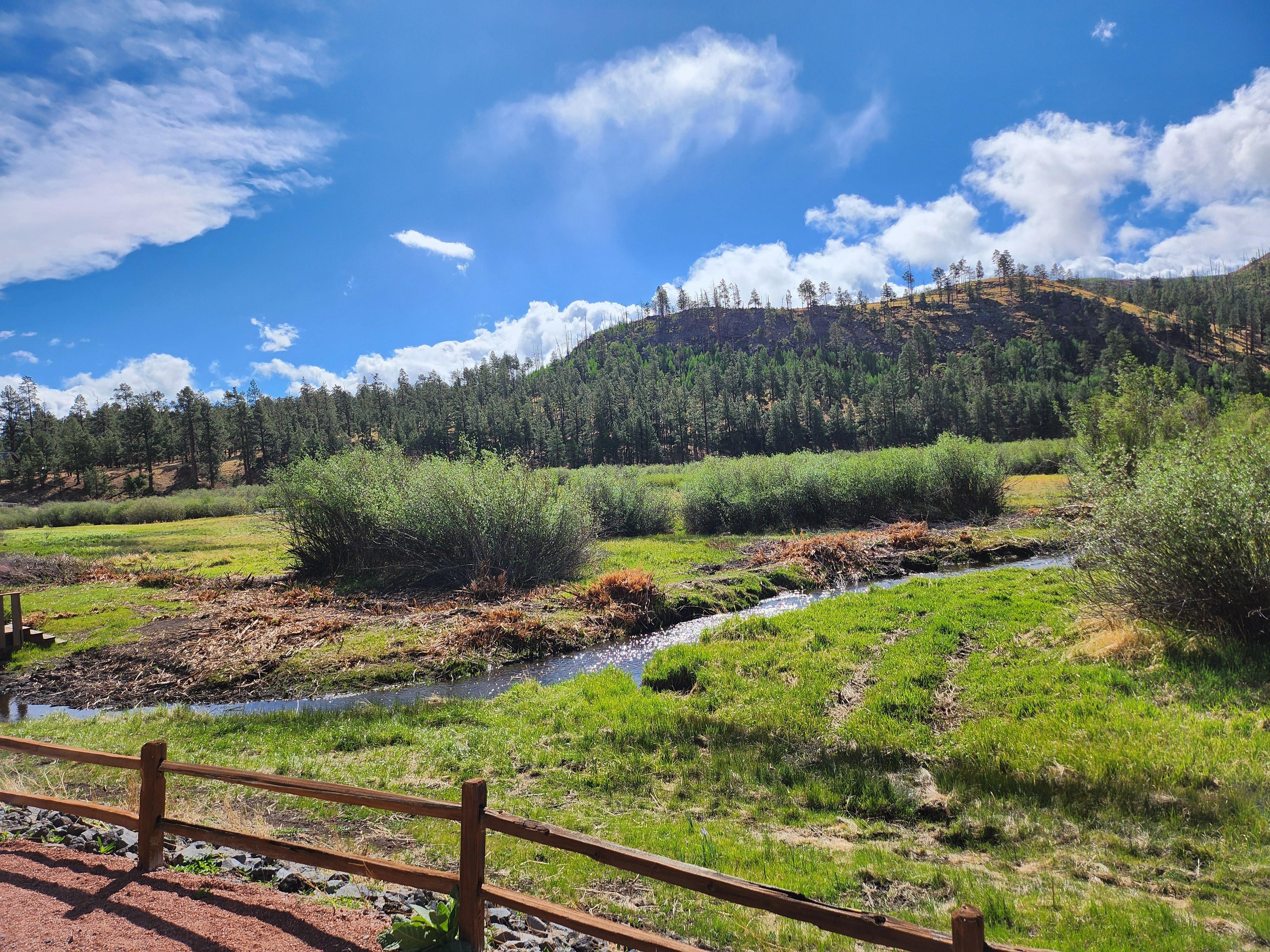 View from the Rendezvous Cafe