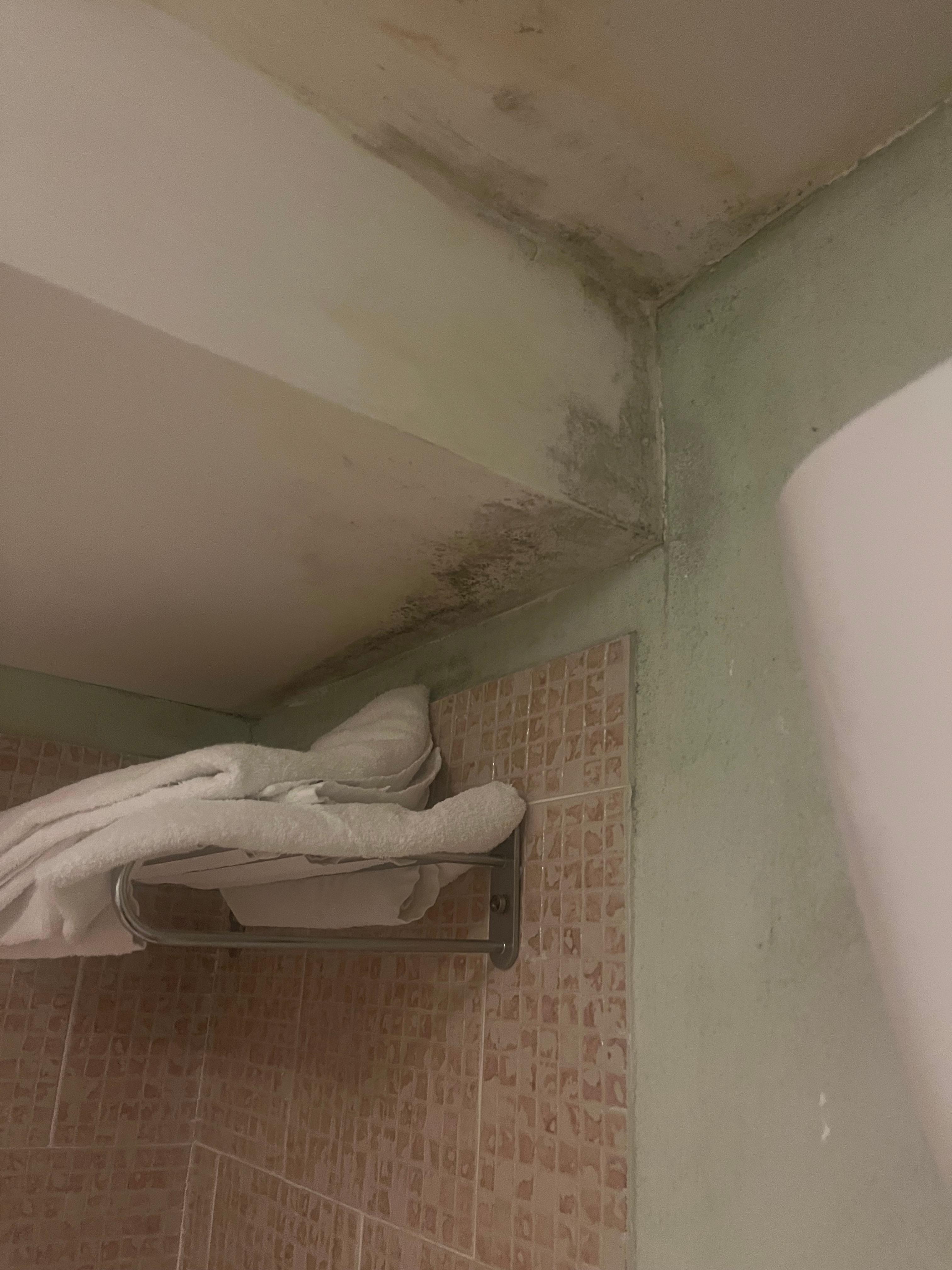 Shower mould next to the towels