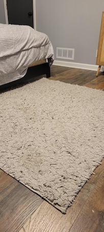Soiled carpets in master