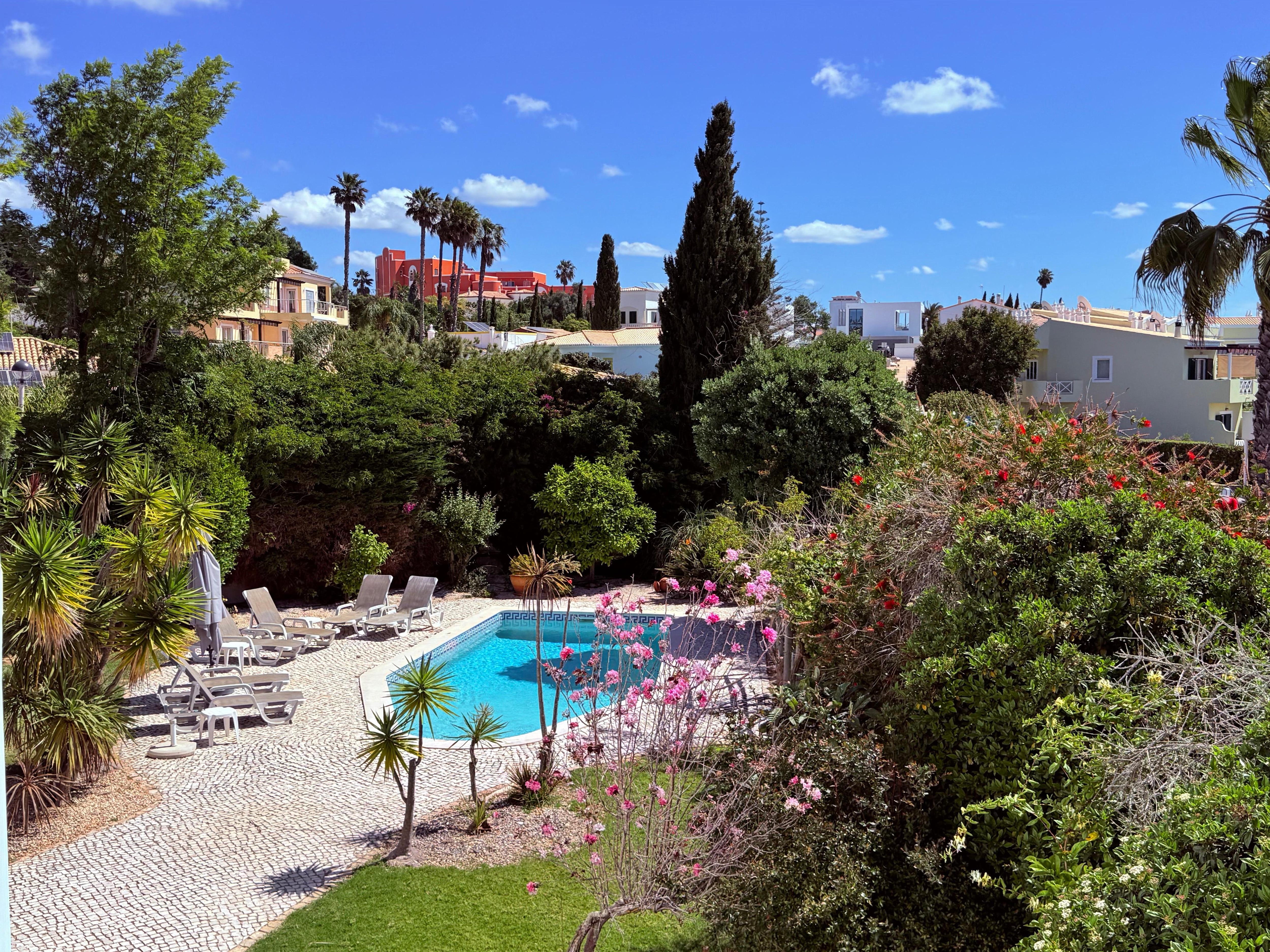 The pool and garden