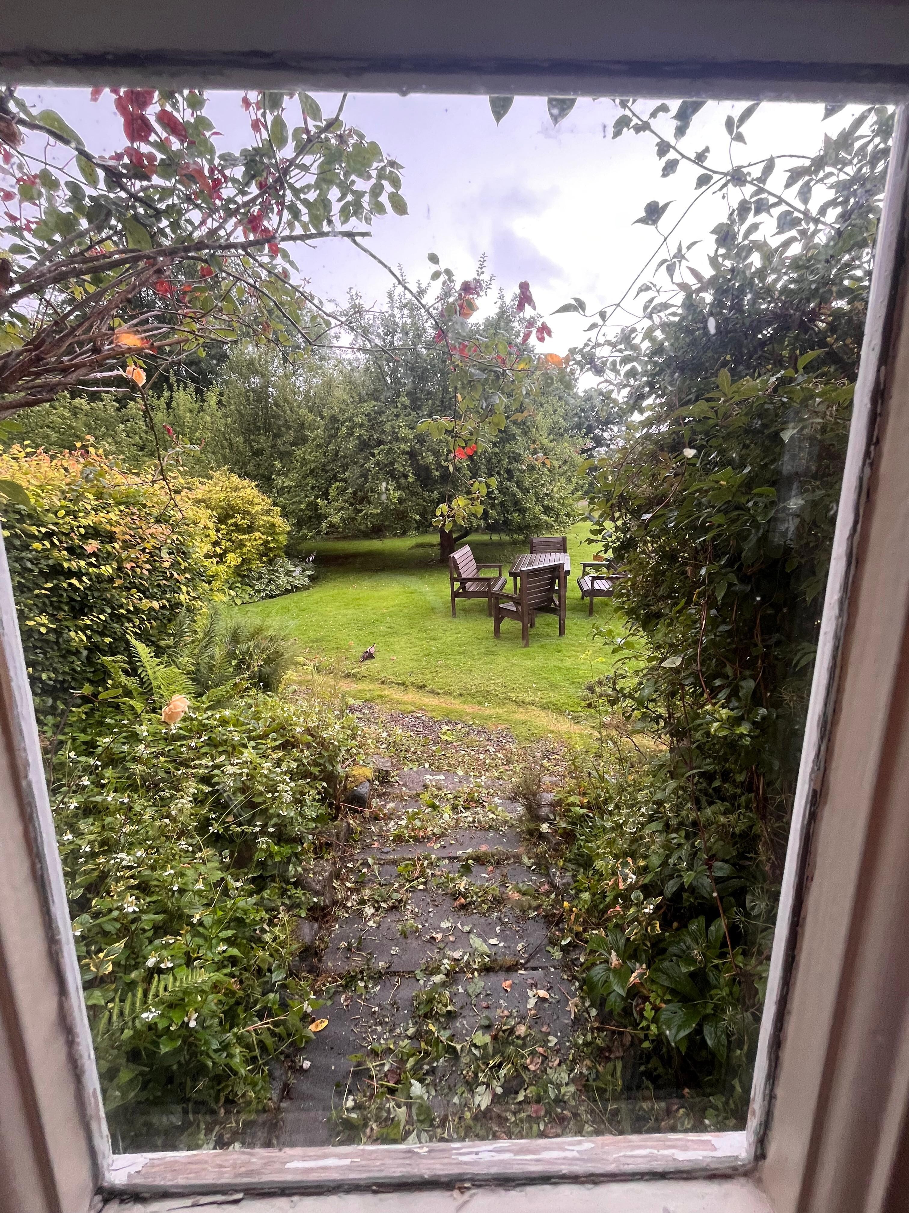 View out the back door