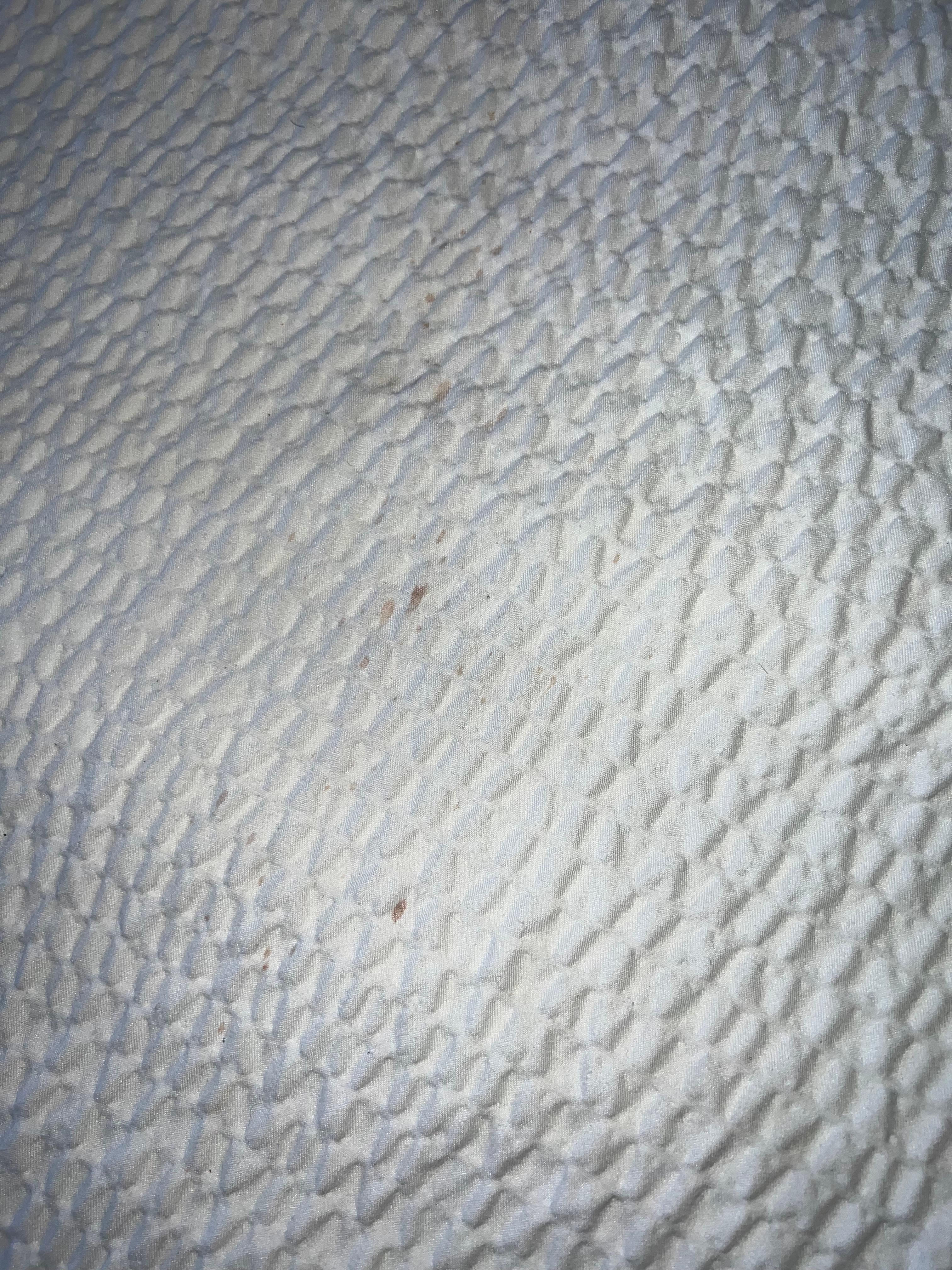 Blood stains on comforter