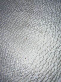 Blood stains on comforter