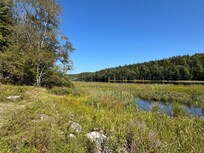 View from pond
