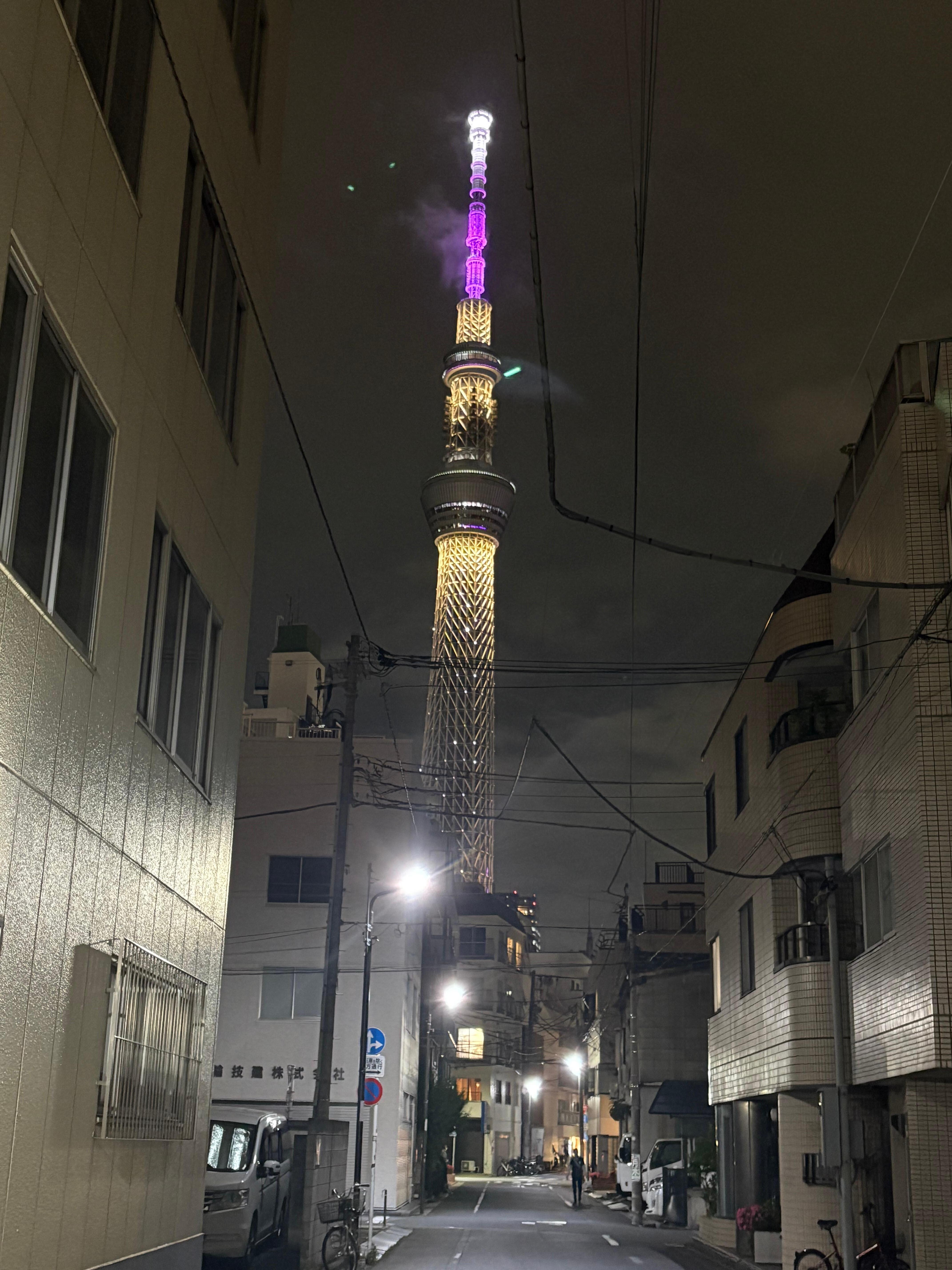 Sky tree also within walking distance 