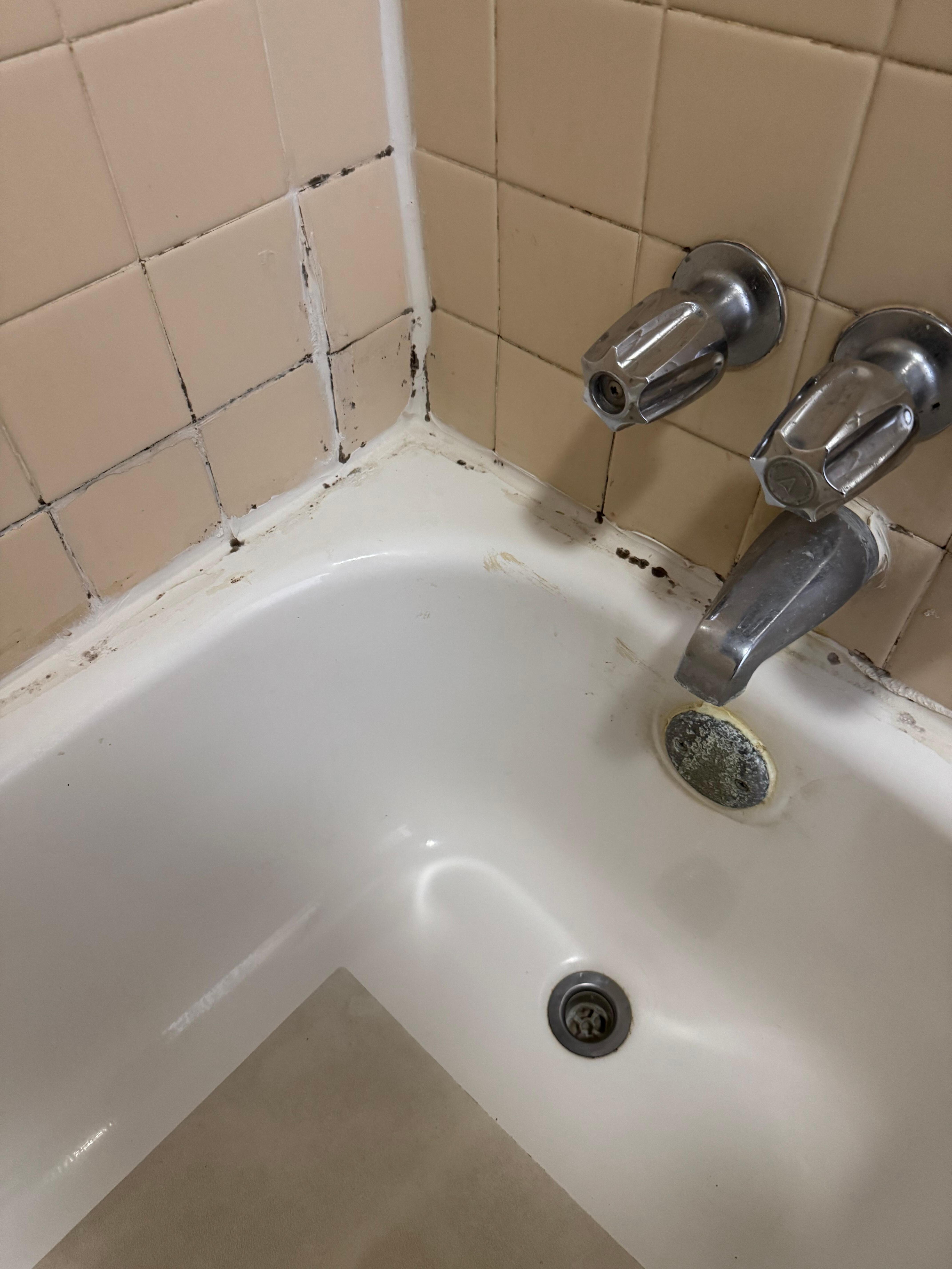 Filthy Bathroom