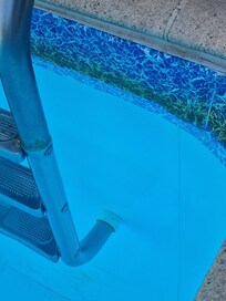 Rebord douteux jaune vert