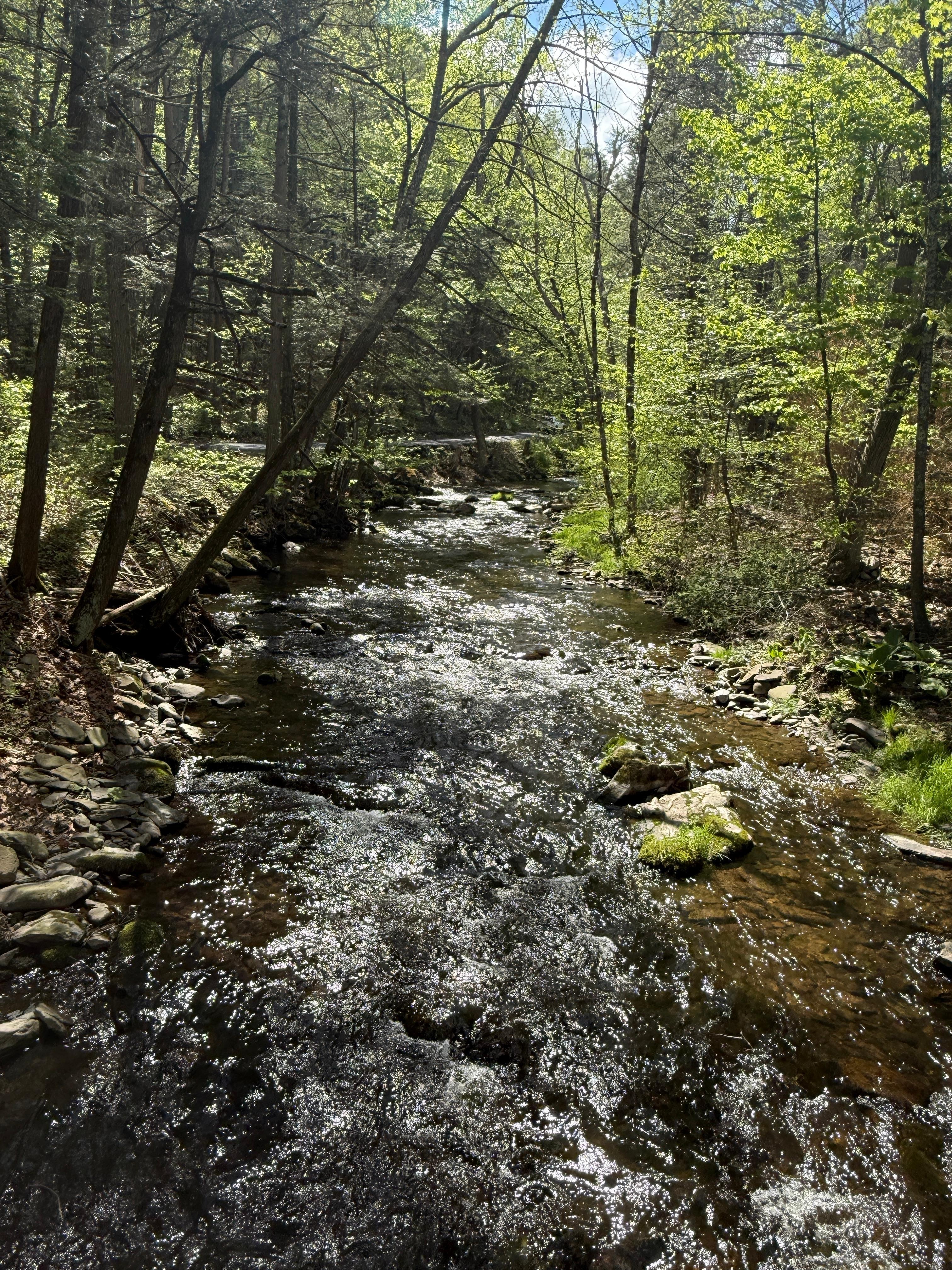 View from the bridge. 