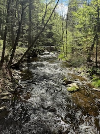 View from the bridge.