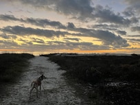 Beach access is a short walk away