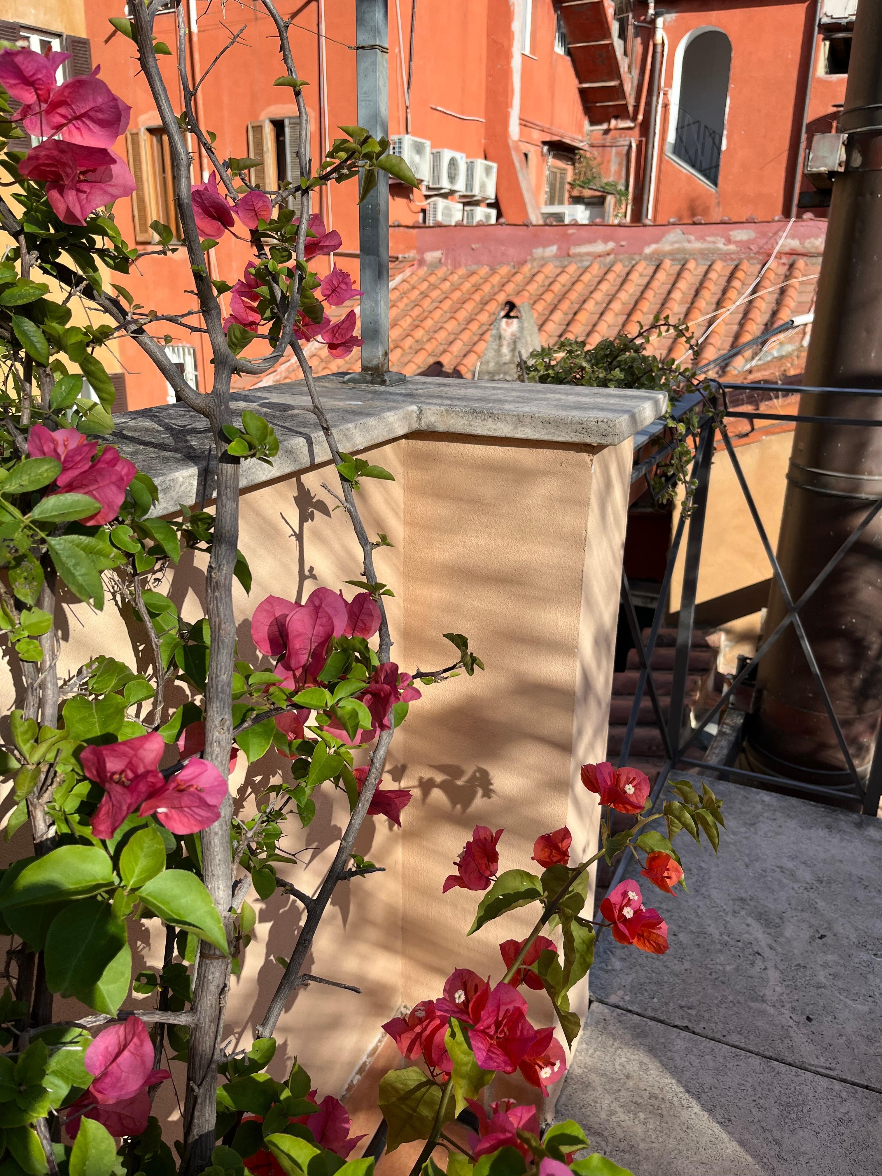 Rooftop terrace