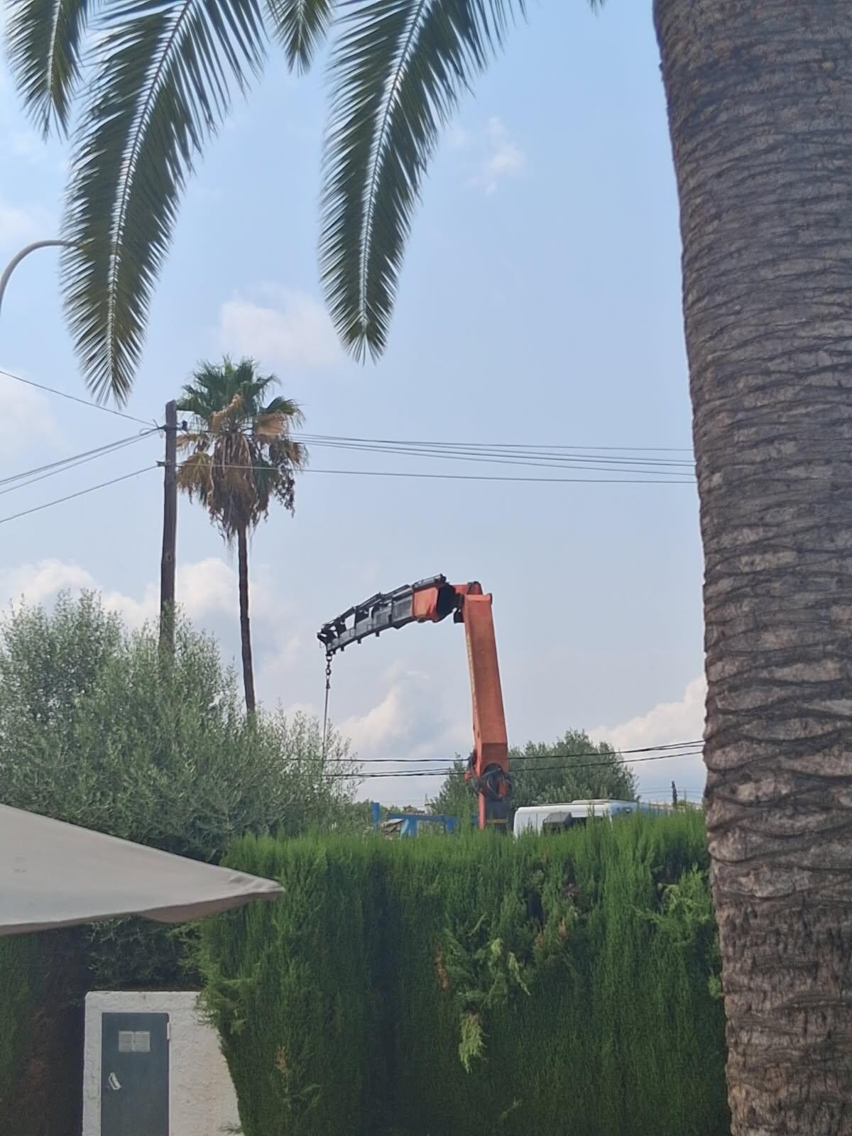 Voilà tous les matins