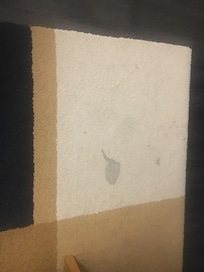 Dirty carpet with shields