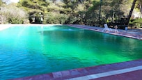 Piscine verte genre marre à canard