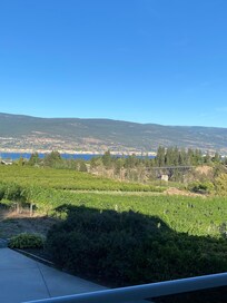 View from the deck