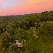A drone shot of the Tea "tree' House