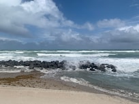 Lunch at the breakers
