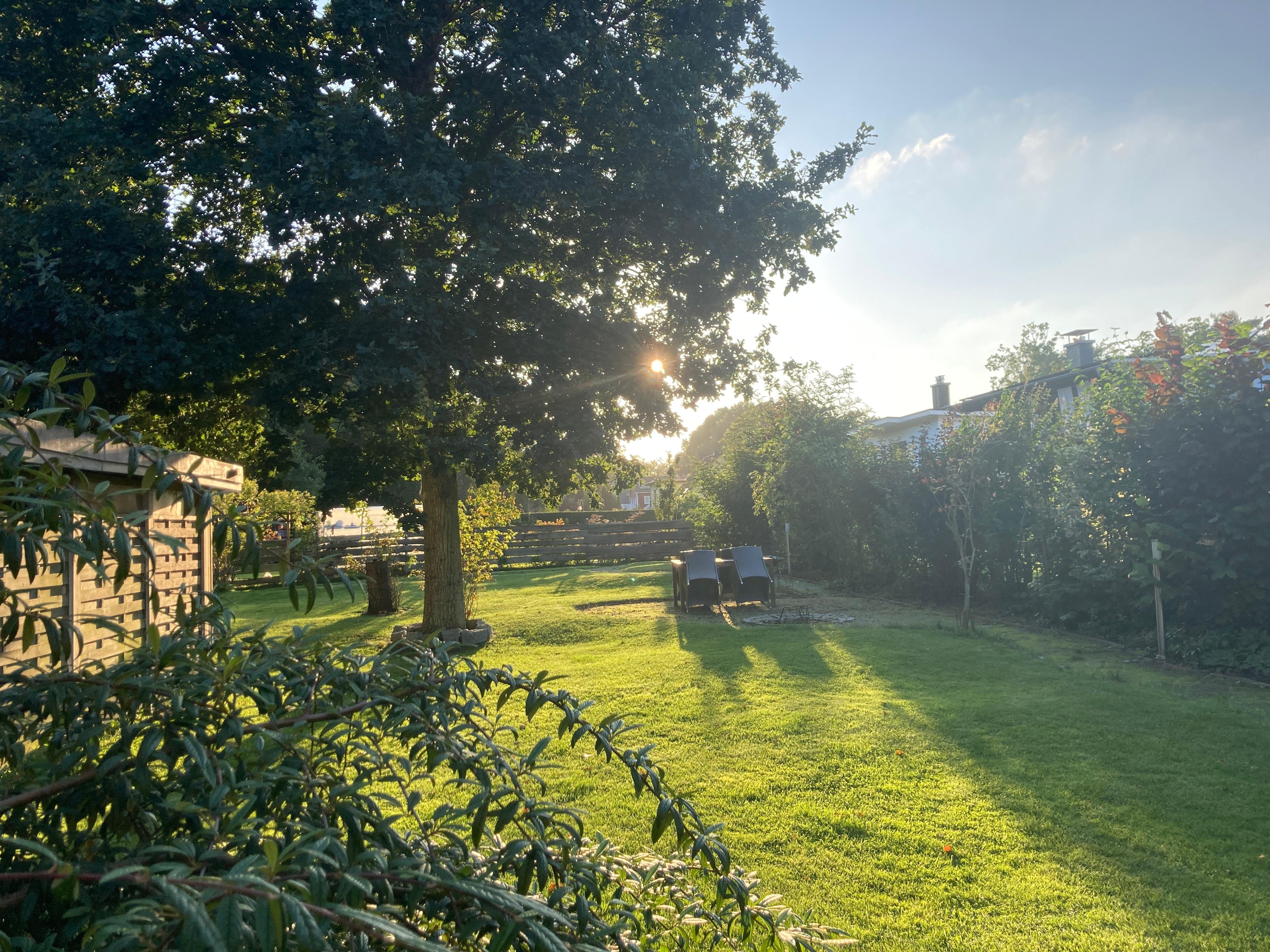 Blick in den Garten
