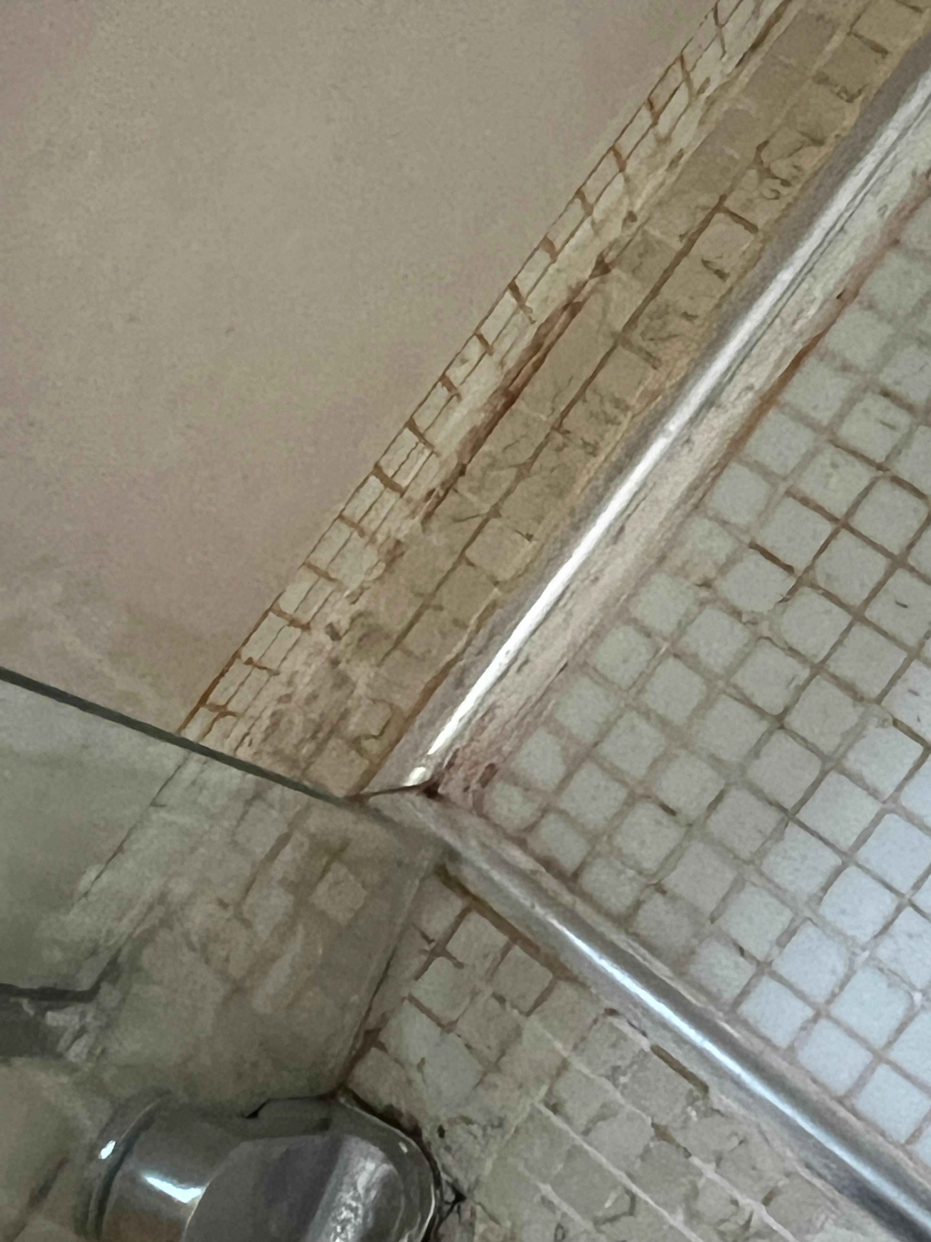 Mold in bathroom 