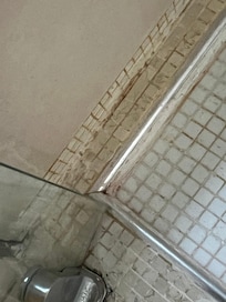 Mold in bathroom
