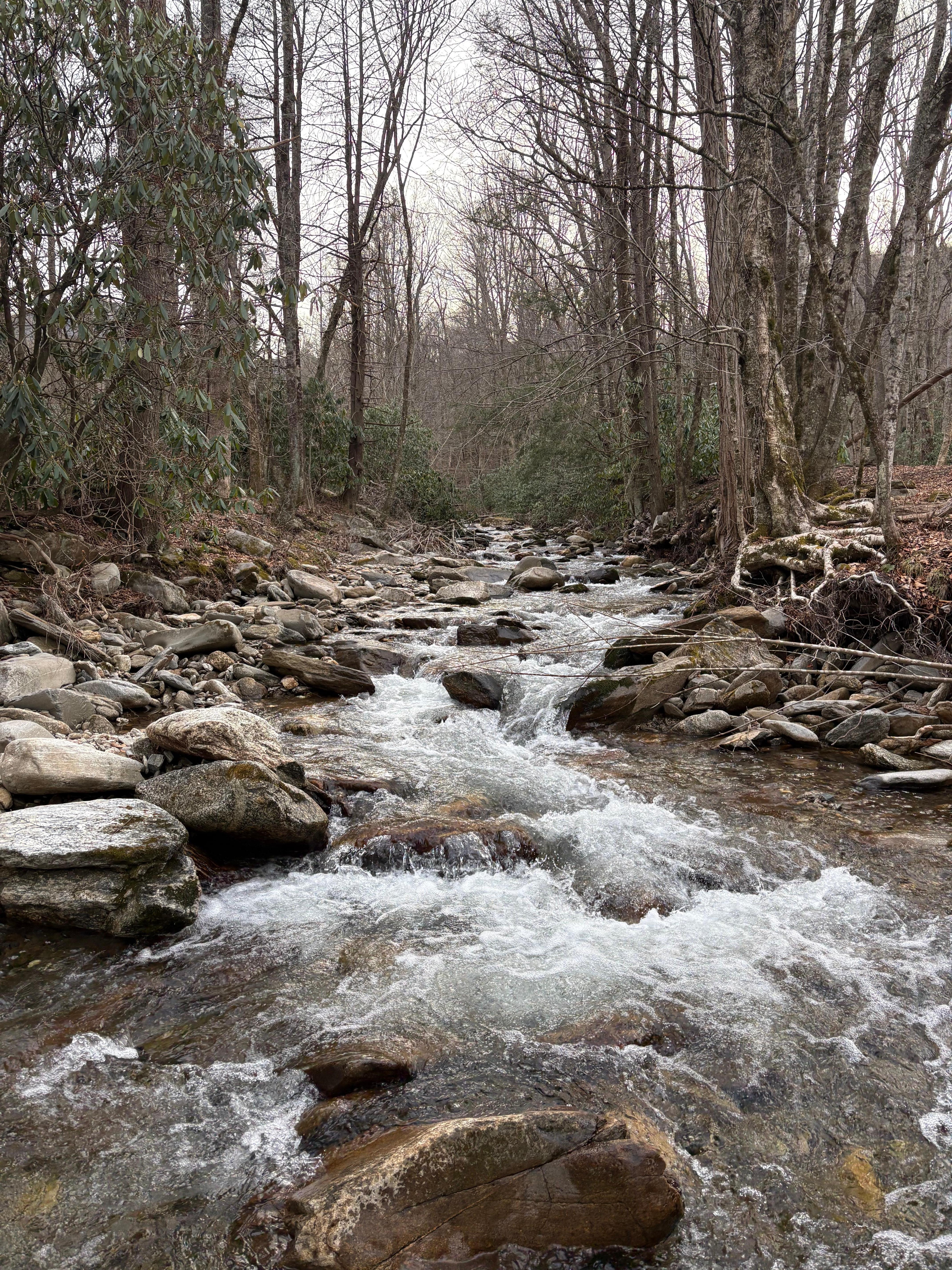 Soothing sounds of the creek.